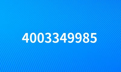 4003349985