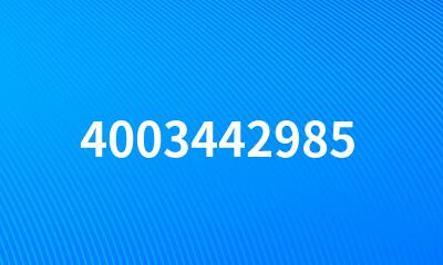 4003442985