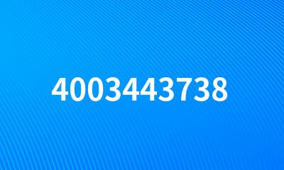 4003443738