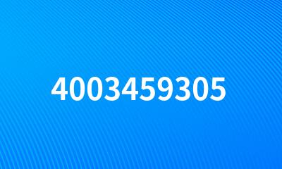 4003459305