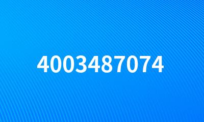 4003487074