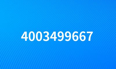 4003499667