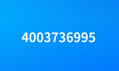 4003736995