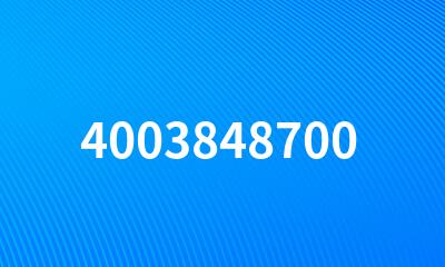 4003848700