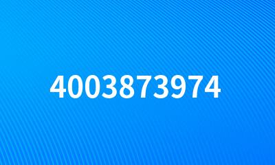 4003873974