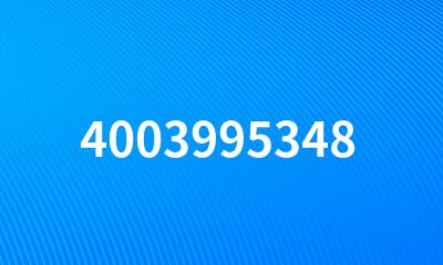 4003995348