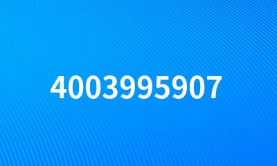 4003995907