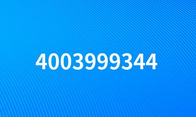 4003999344