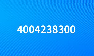 4004238300