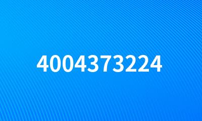 4004373224