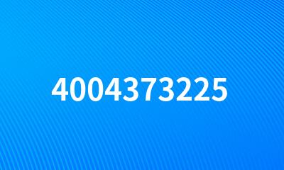 4004373225