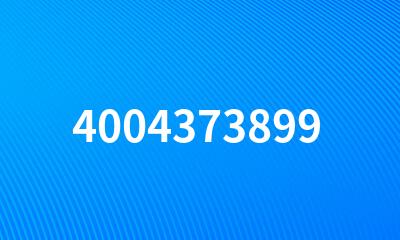 4004373899