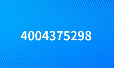 4004375298