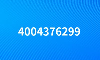 4004376299