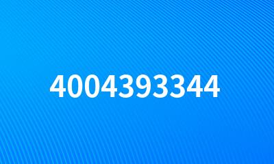 4004393344