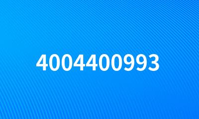 4004400993