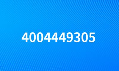 4004449305