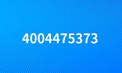 4004475373