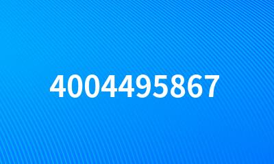 4004495867