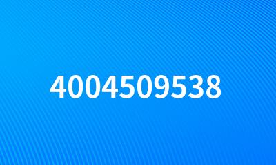 4004509538