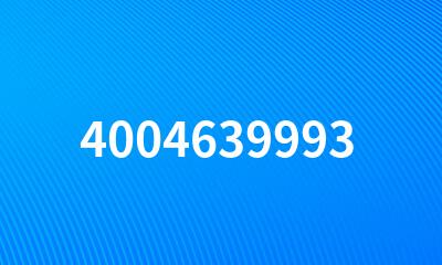 4004639993