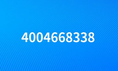 4004668338