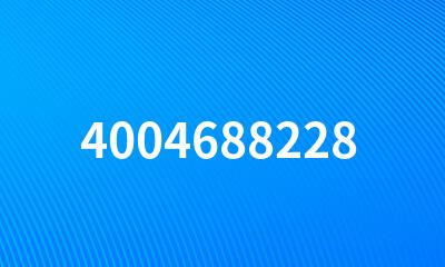 4004688228