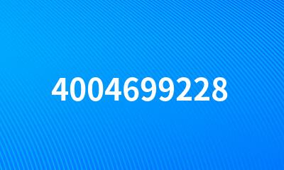 4004699228