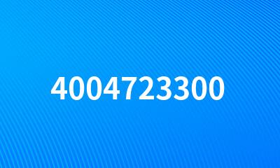 4004723300