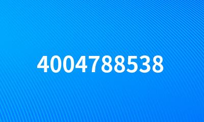 4004788538