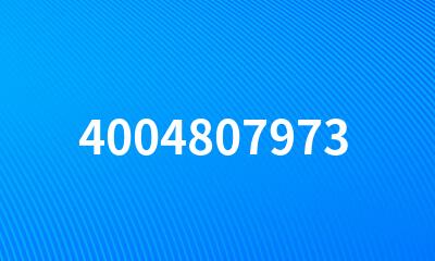 4004807973