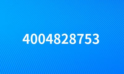 4004828753