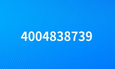 4004838739