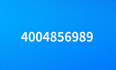 4004856989