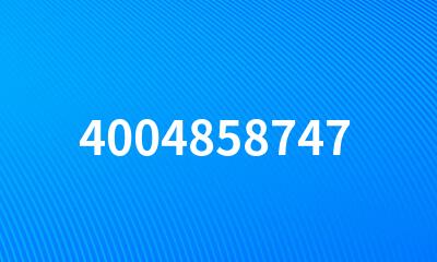 4004858747