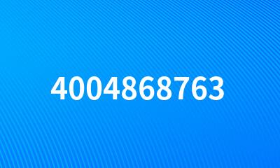 4004868763