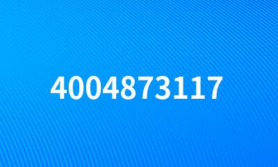 4004873117