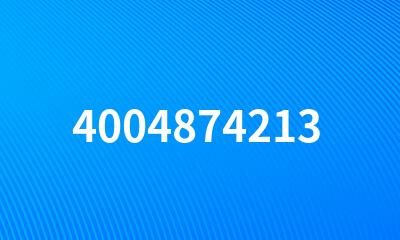 4004874213