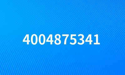 4004875341