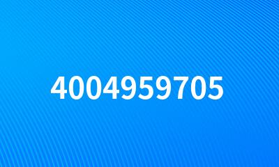 4004959705