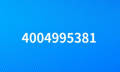 4004995381