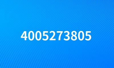 4005273805