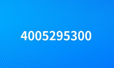 4005295300