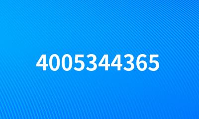 4005344365