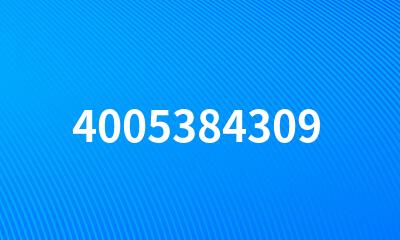 4005384309