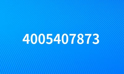 4005407873