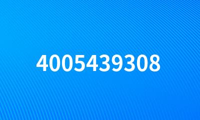 4005439308