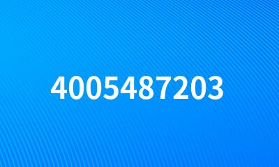 4005487203