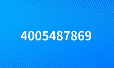 4005487869