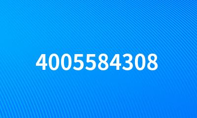 4005584308